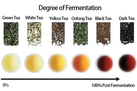 Six Types Of Tea