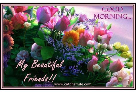 Check spelling or type a new query. Good Morning, My Beautiful Friends! Pictures, Photos, and ...