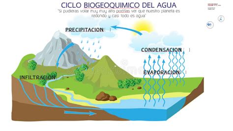 Ciclo Biogeoquimico Del Agua By Lesly Rincon