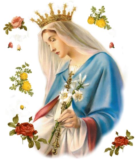 “mondays With Mary” The Flowers Of The Blessed Virgin Mary Tom Perna