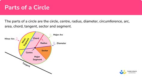 Parts Of A Circle Gcse Maths Steps Examples And Worksheet