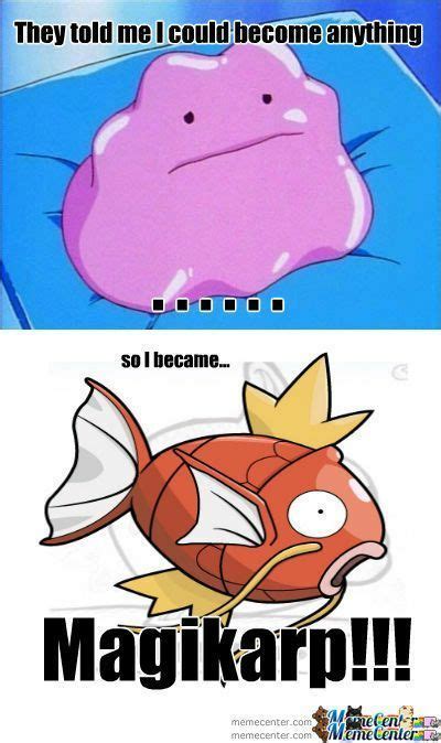 Magikarp Memes Pokémon Amino
