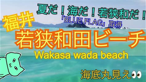 福井 若狭和田ビーチ 透明度の高い最高のビーチ Wakasa Wada Beach Youtube