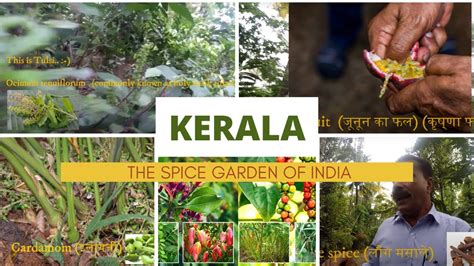 Kerala The Spice Garden Of India Youtube
