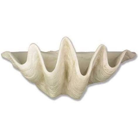 Giant Clam Shell Prop Crystal Park Blogs