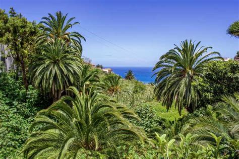 Tenerife Anaga Rural Park Full Day Guided Tour Getyourguide