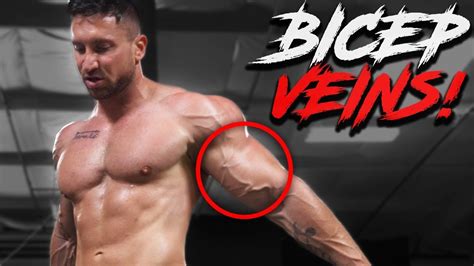 Get Bicep Veins 3 Forgotten Tips For Veiny Arms Youtube
