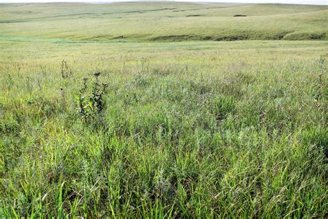 Tallgrass Prairie National Preserve Outdoor Project
