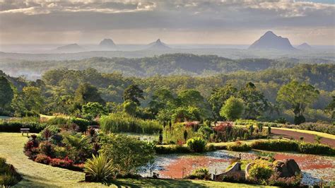 The blue mountains is a huge area with a massive national park featuring many walking tracks. Maleny Botanical Gardens and Bird world - Blue Summit Cottages