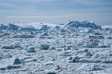 Eisfjord Eislandschaft