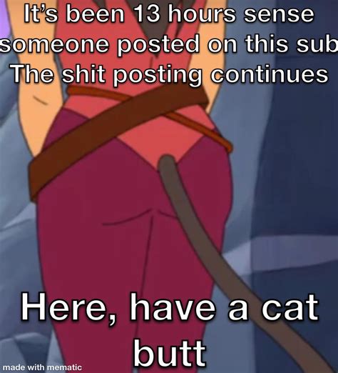 Cat Butt Rokbuddycatra