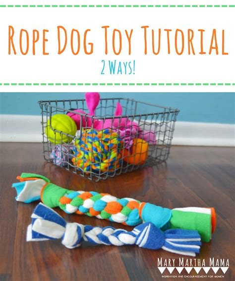 For Your Little Buddy Smart Diy Pet Toys That Are Fun