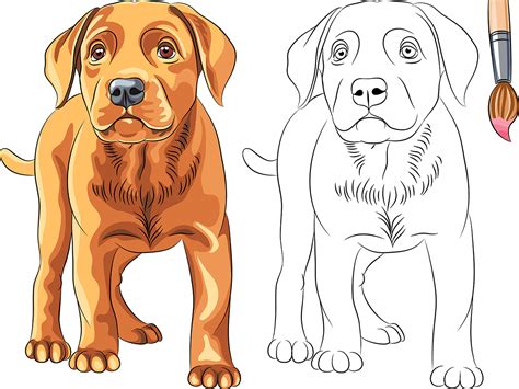 Dibujos De Perros Para Colorear Boyama Pinterest Embroidery And
