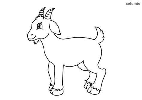 Billy Goat Coloring Page Coloring Pages