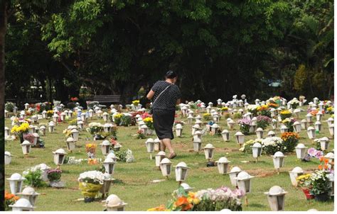 Floricultura Cemitério Campo Da Esperança Brasília