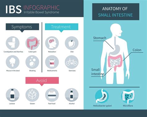 What Is Ibs Everything You Need To Know With Video Artofit