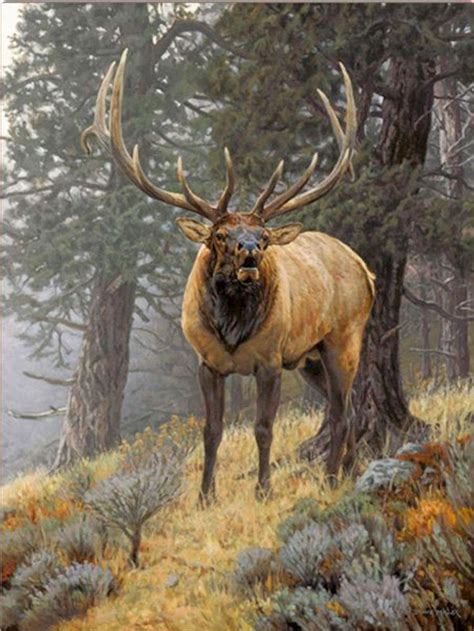 Foggy Mountain Challenge Painting By Wildlife Artist Bruce Miller A