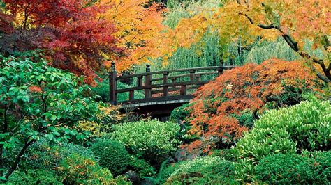 1920x1080px 1080p Free Download Japanese Garden In Washington Park