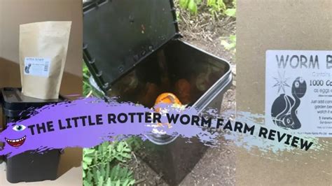 Little Rotter Worm Farm Review What Is Little Rotter Worm Farm