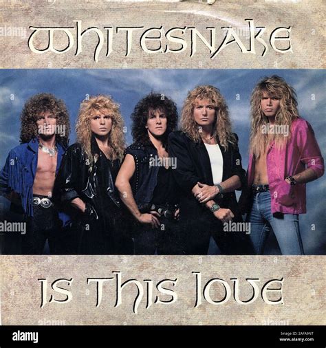 Is This Love Whitesnake Vintage Vinyl Album Cover Stock Photo Alamy