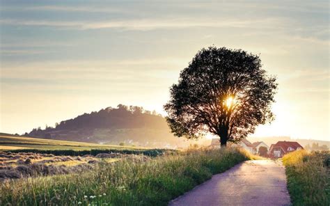 Beautiful Sun Rays Over A Country Road In Summer Wallpaper By Jennymari