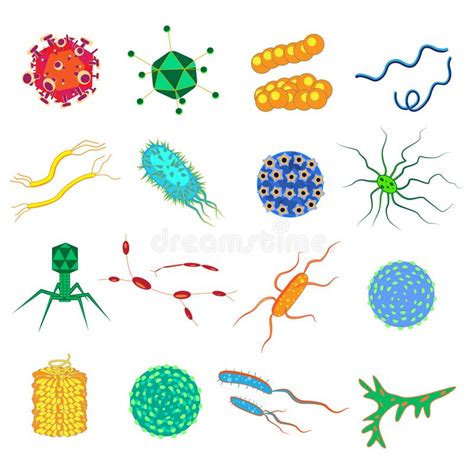 Bactérias E Germes Vírus Micro Organismos Grupo Dos Sem Fins