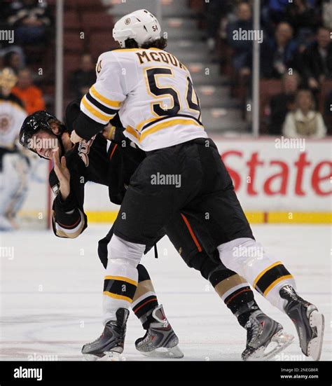 Anaheim Ducks Troy Bodie Left And Boston Bruins Adam Mcquaid Fight