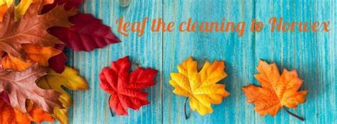 Check spelling or type a new query. Pin by Jennifer Busby on norwex | Fall facebook cover ...