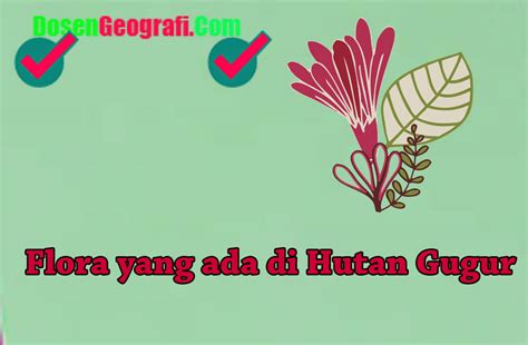 We did not find results for: √ 7 Contoh Flora yang ada di Hutan Gugur | Ilmu Geografi
