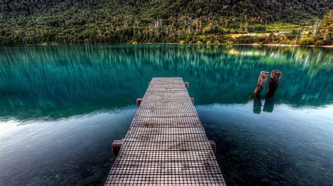 Nature Landscape Trees Pier Wooden Surface Forest Water Lake