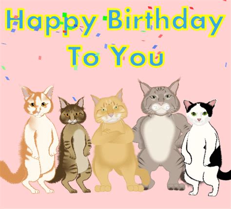 Cats Singing Happy Birthday  Cat Meme Stock Pictures And Photos