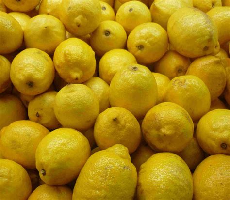 Simpleliving: Lemons ! What To Do With Them All