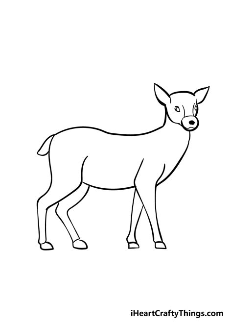 Deer Drawing How To Draw A Deer Step By Step