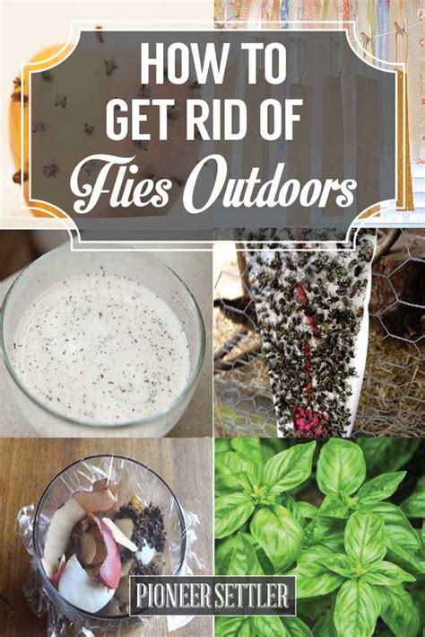 Check Out How To Get Rid Of Flies Outdoors Naturally At Https Pioneersettler Com Get Rid Flies