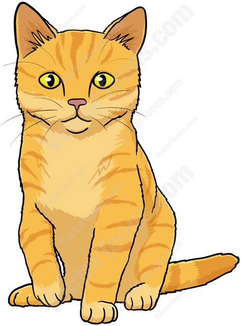 Orange Kitten With Yellow Eyes Sitting And Looking Straight Ahead Cat
