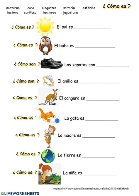 Spanish Worksheet With Pictures And Words To Describe The Different