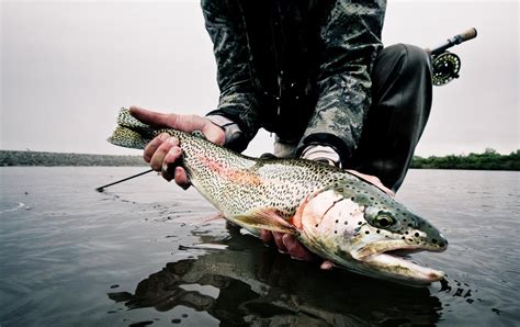 8 Tips On Photographing Fish Without Harming Them Fly Fishing Gink