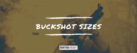 Buckshot Sizes A Complete Review And Buyers Guide Hunting Heart
