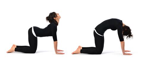 5 Poses To Relieve Back Pain Through Yoga