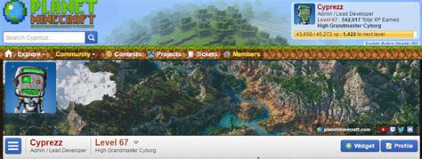 How To Customize Your Planet Minecraft Profile Page