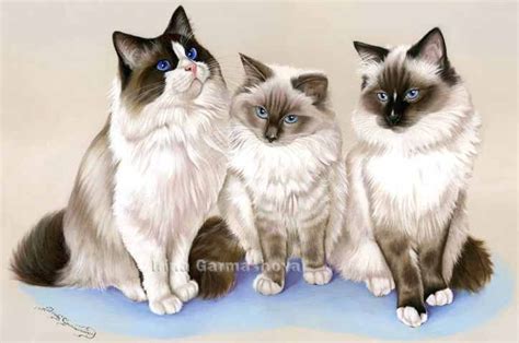 Pin By Kitty Trommler On Artistes Animaliers N°1 Pretty Cats Cat