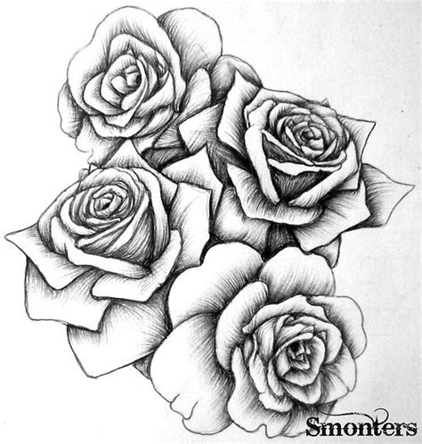 Free Roses Drawing Download Free Roses Drawing Png Images Free