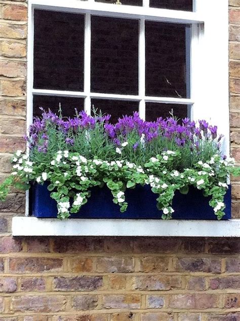 6 foot traditional window box in black on stone : 15 Beautiful Plants For Window Boxes Ideas 2019 7 ...