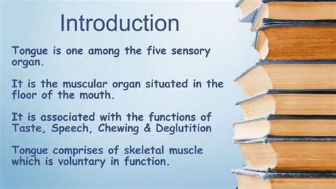 Tongue Anatomy And Physiology