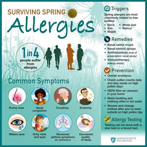 Spring Allergies Survival Guide Focus