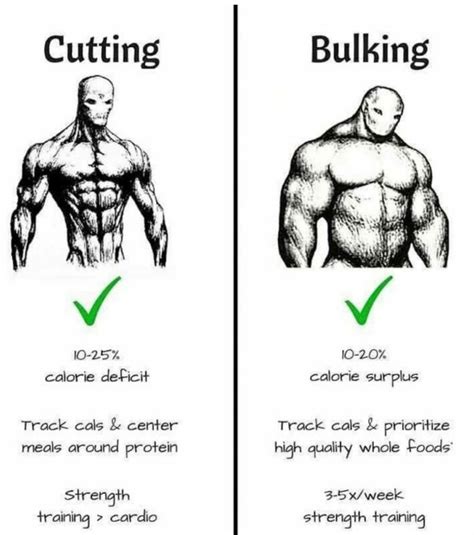 Cutting Vs Bulking Gym Memes Gym Workout Tips Weight Training Workouts