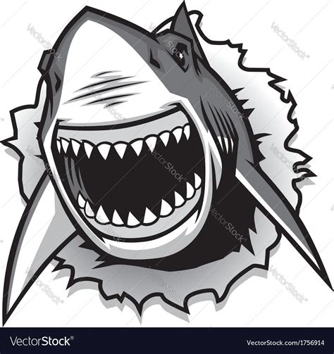 Vector Of Great White Shark Ripping With Opened Mouth Download A Free Preview Or High Quality