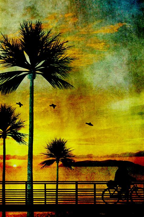 Palm Tree Sunset Painting Free Stock Photo Public Domain Pictures
