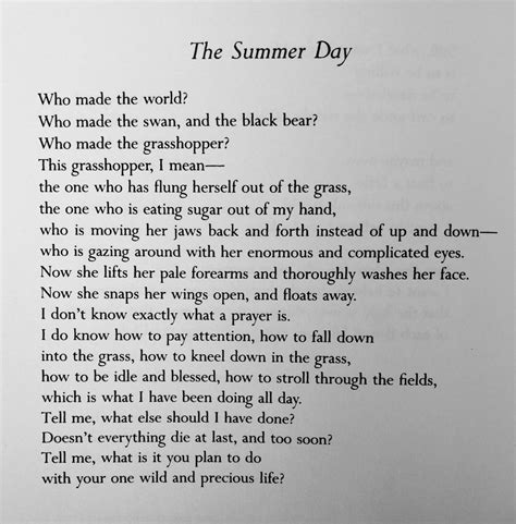 End Of Summer Poem Mary Oliver Achieving Good Webzine Art Gallery
