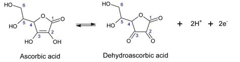 Oxidation Mechanism Of Vitamin C L Ascorbic Acid Download